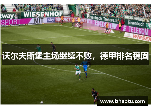 沃尔夫斯堡主场继续不败，德甲排名稳固