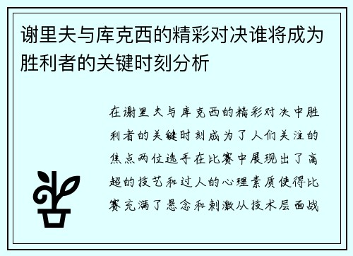 谢里夫与库克西的精彩对决谁将成为胜利者的关键时刻分析